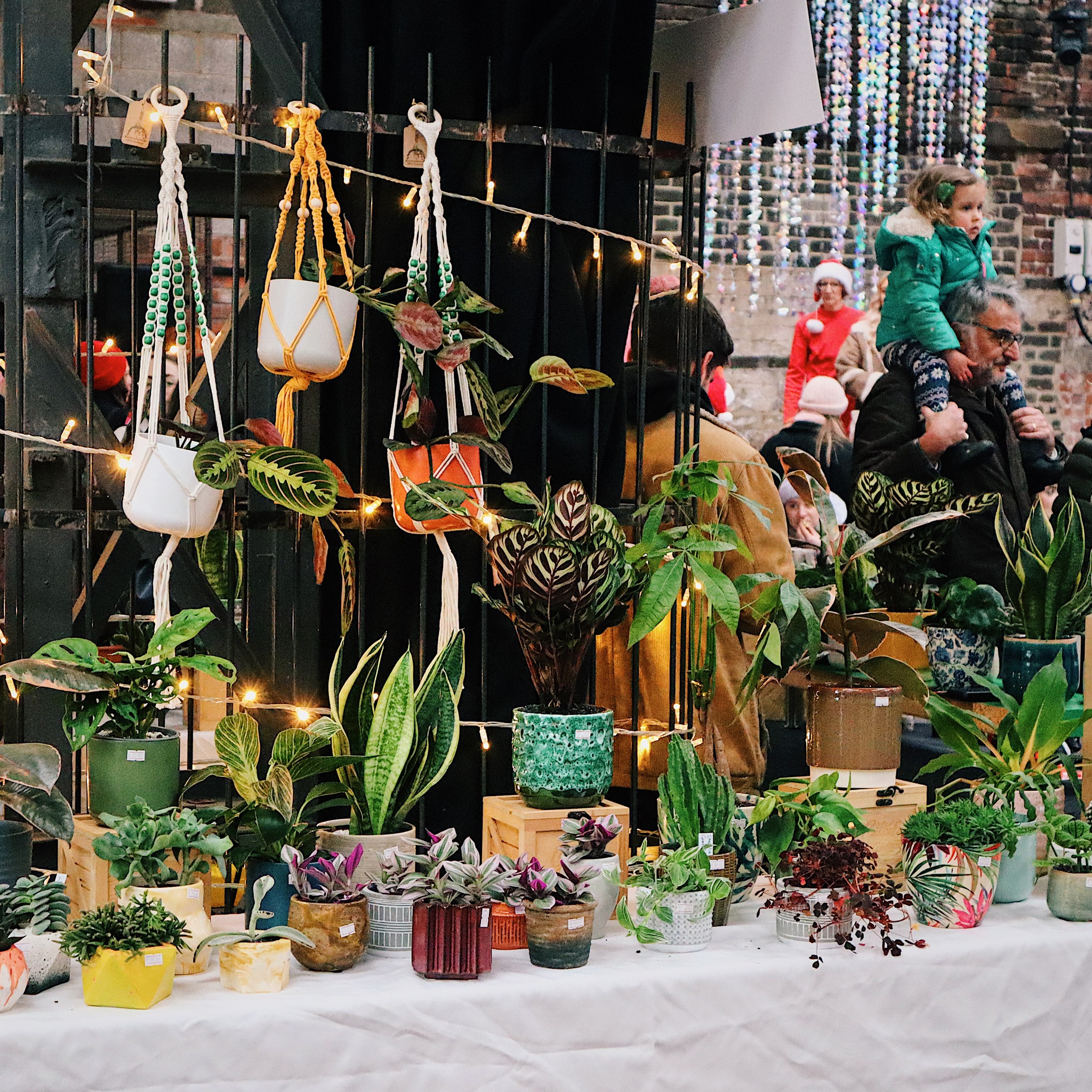 A market stall filled with pot plants and hanging baskets.
