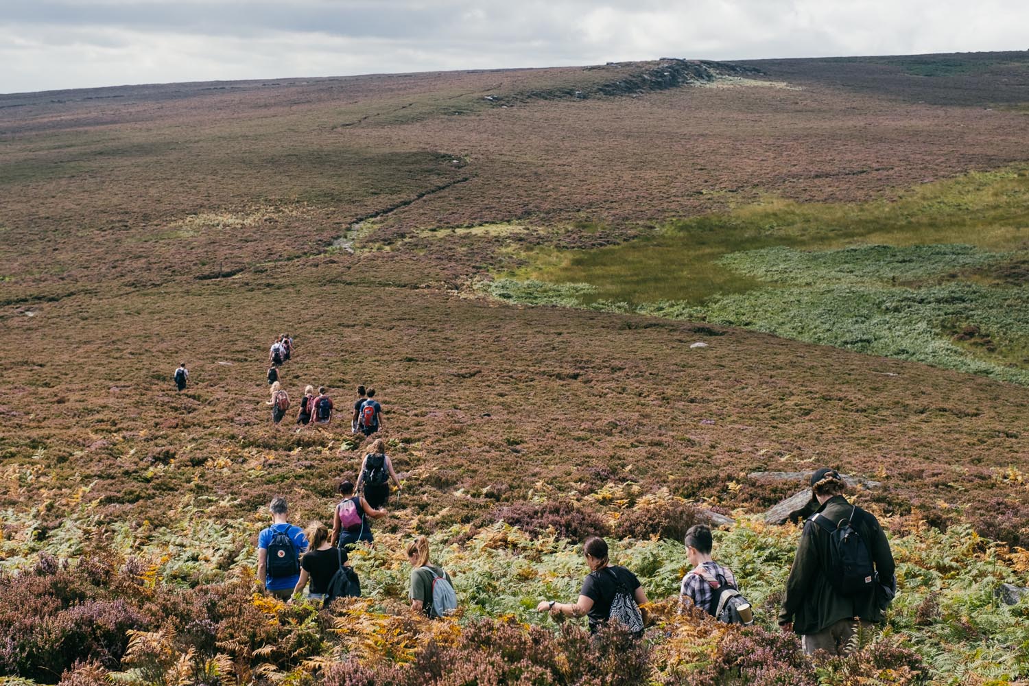 Group of people walking through the heather in the countryside.