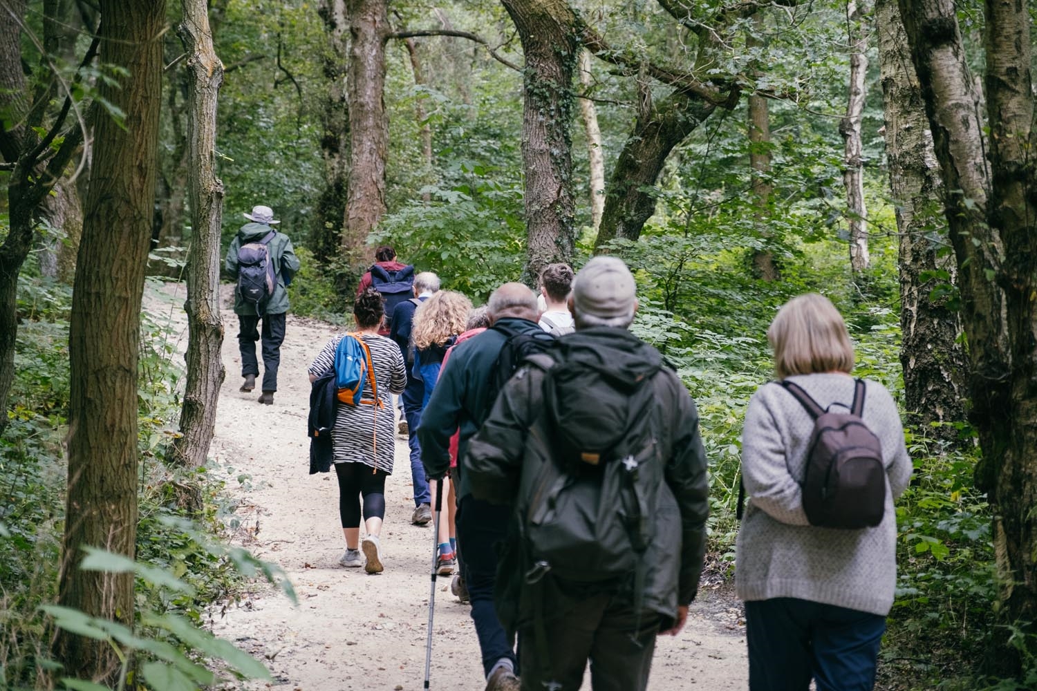 Group of people walking through the woods, being lead by a walking guide.