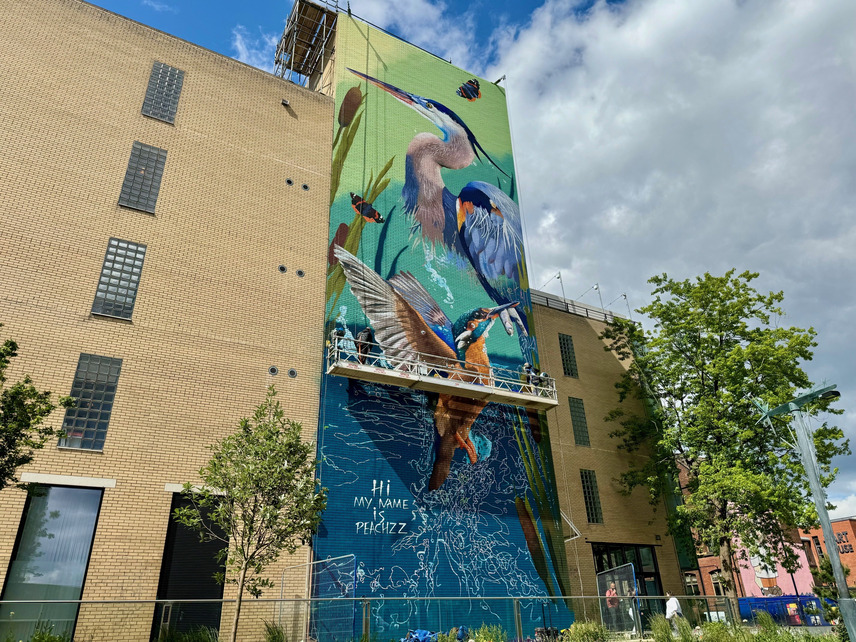 Large mural on the side of a tall brick building depicting vibrant wildlife, including a heron, kingfisher, and other birds surrounded by reeds and water. The artwork features bright greens and blues, with text near the bottom reading ‘Hi my name is Peachzz.’ Trees and a partly cloudy sky frame the scene.