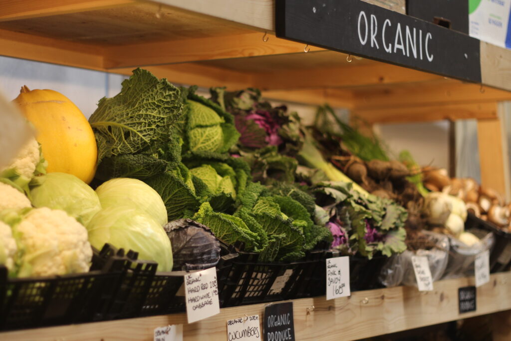 A wooden shelf filled with all different kinds of fresh vegetables for sale, including cauliflowers and cabbages. There is a small sign on one of the shelves that says 'Organic'.