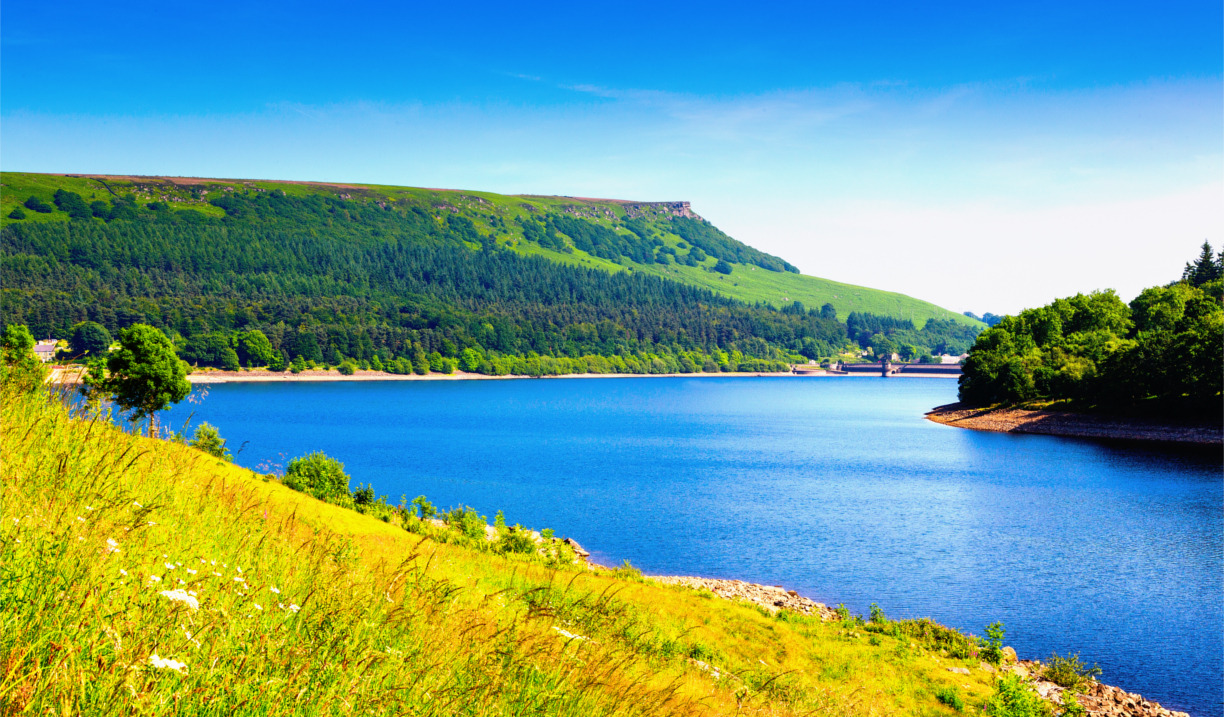 A lake in the sunshine.