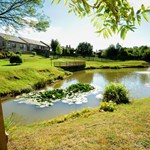 A pond with a footbridge spanning it, with a building in the background.