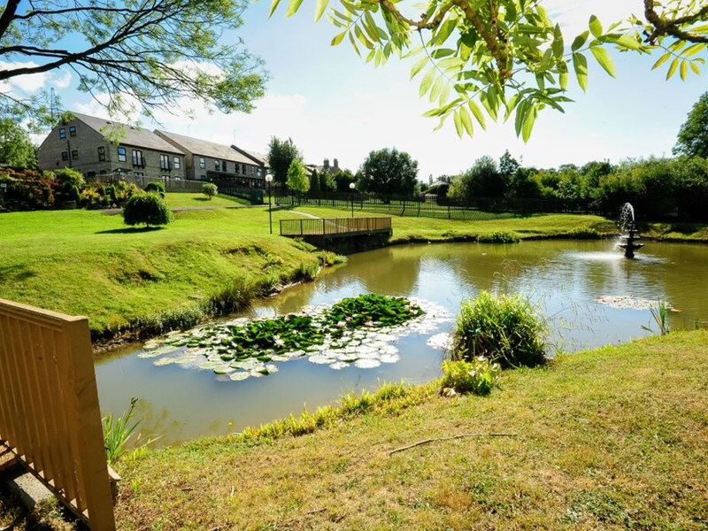 A pond with a footbridge spanning it, with a building in the background.