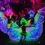 The Glass House and the Sheffield Botanical Gardens are lit up by a huge display of colourful lights.