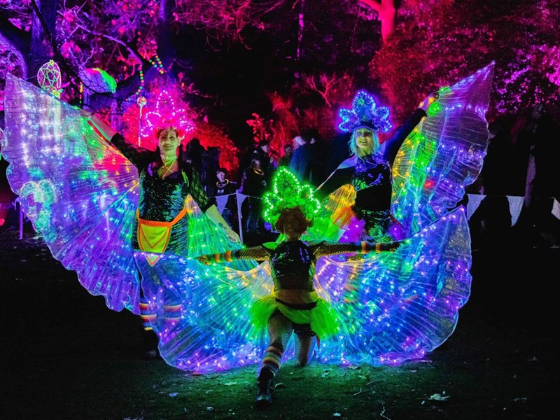 The Glass House and the Sheffield Botanical Gardens are lit up by a huge display of colourful lights.