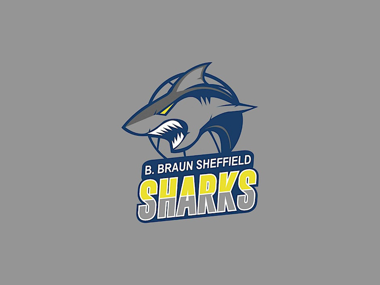 The Sheffield Sharks logo  - an illustration of a shark on a grey background above the words 'B. Braun Sheffield Sharks'.