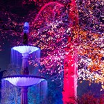 The Glass House and the Sheffield Botanical Gardens are lit up by a huge display of colourful lights.