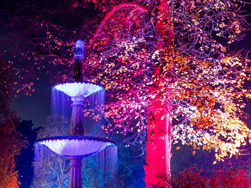 The Glass House and the Sheffield Botanical Gardens are lit up by a huge display of colourful lights.