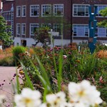 A path flanked by plant beds at Grey To Green.
