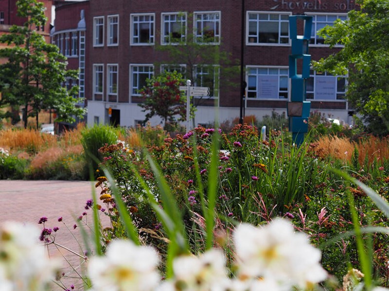 A path flanked by plant beds at Grey To Green.