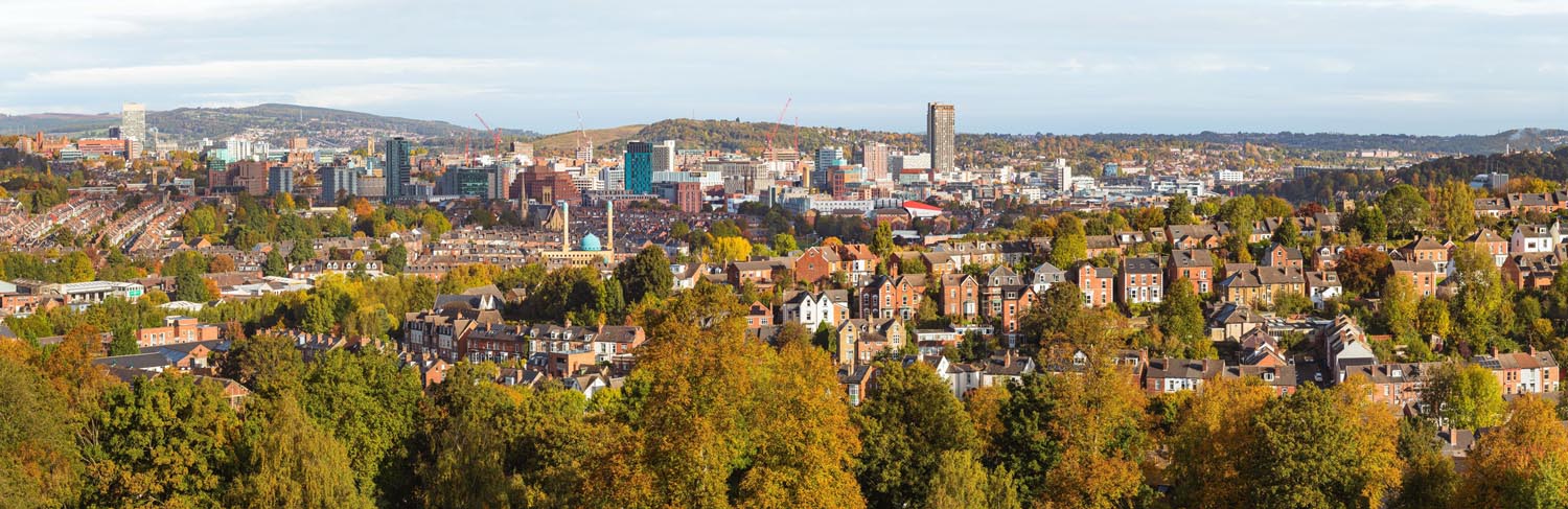 A view across Meersbrook Park.