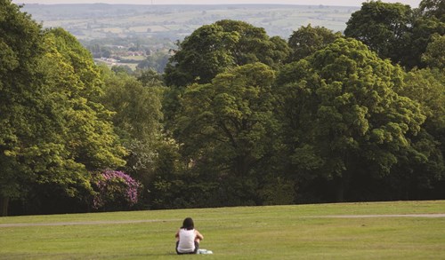 Graves Park - a woman sit on a grassy slope that leads down to a thickly wooded area.