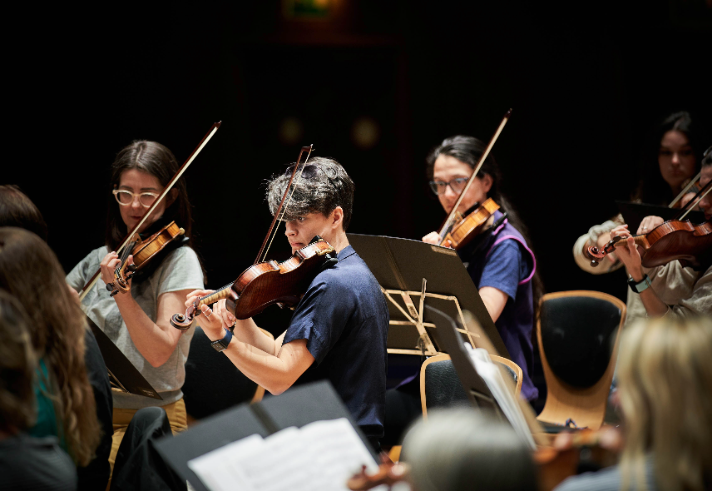 The strings section of the Brigantes Orchestra.