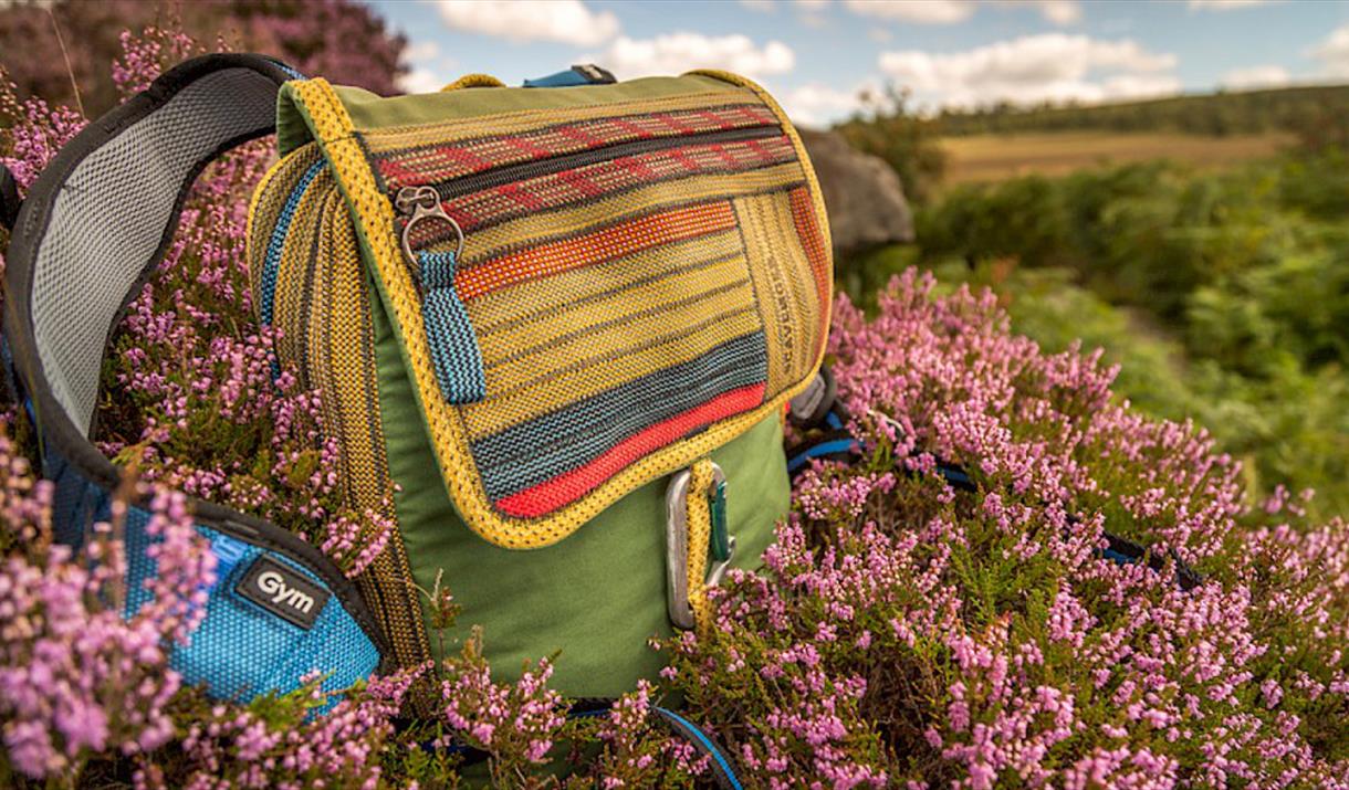 A Scavenger bag sat in some heather, in the countryside.