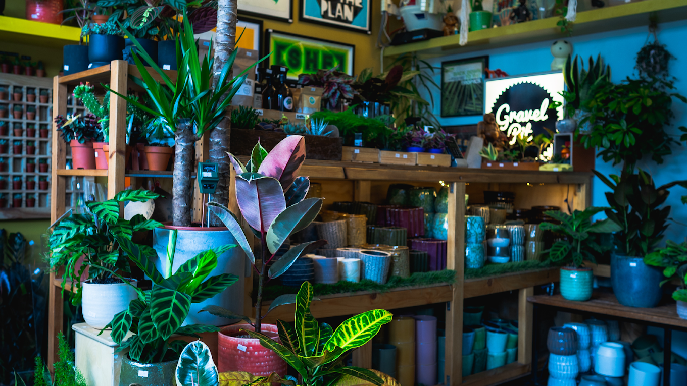 The inside of the Gravel Pit Shop. The shop is filled with wooden shelves packed with a huge array of potted plants.