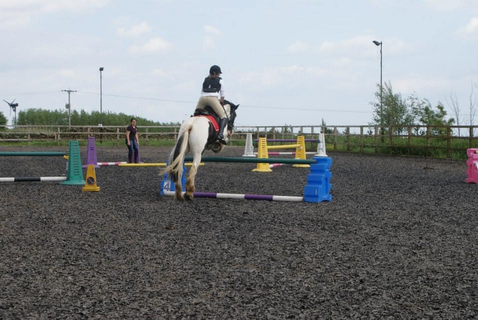 A person jumping fences on a horse in a paddock.