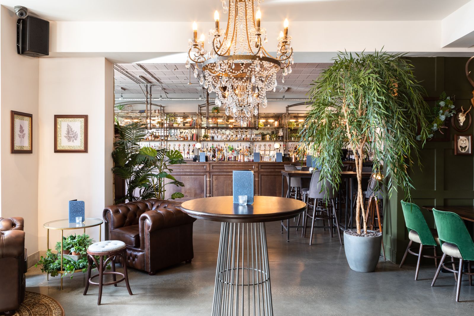 The interior of The Lost & Found, there are lots of plants and a chandelier hangs from the ceiling. 