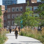 A stone path flanked by tall grasses and other plants.