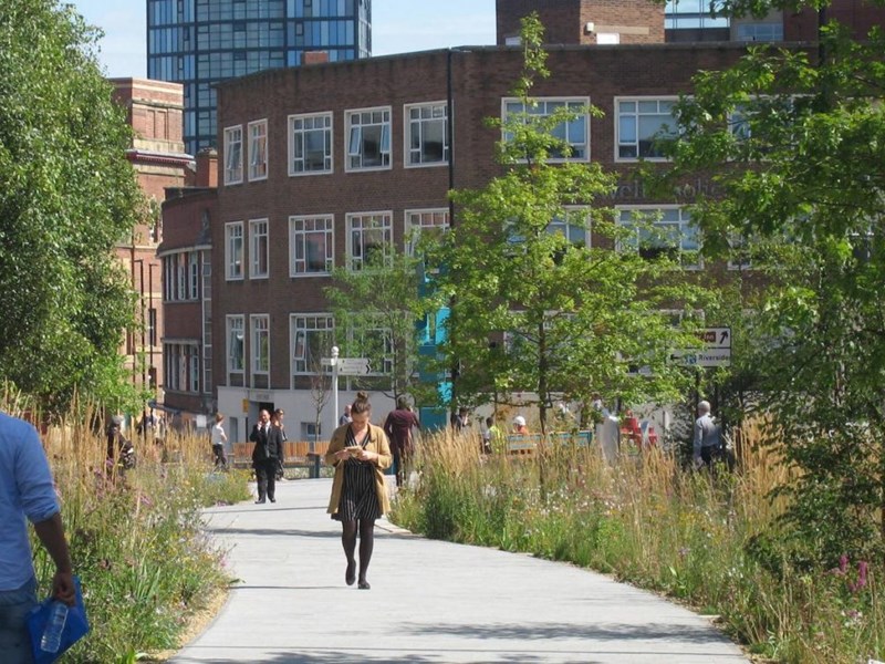 A stone path flanked by tall grasses and other plants.