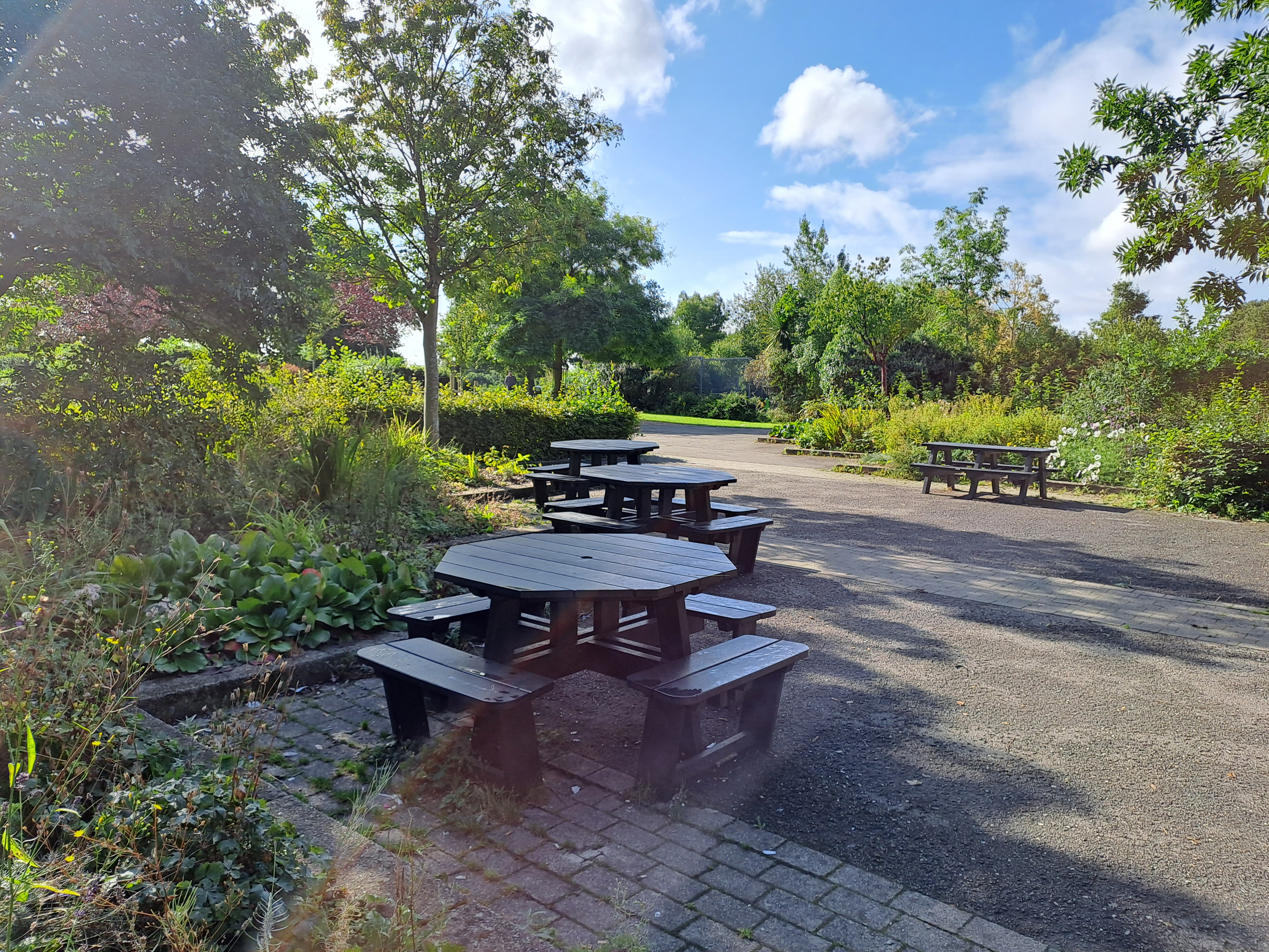 Outdoor seating area in a park with several round wooden picnic tables and benches arranged along a paved path. The area is surrounded by lush greenery, trees, and shrubs under a bright blue sky with scattered clouds.