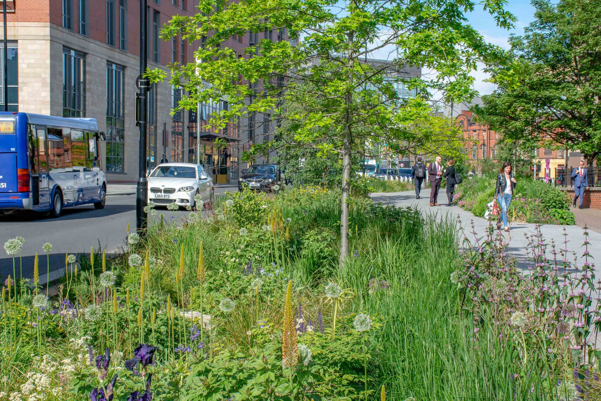 A small tree is surrounded by grasses and wild flowers.