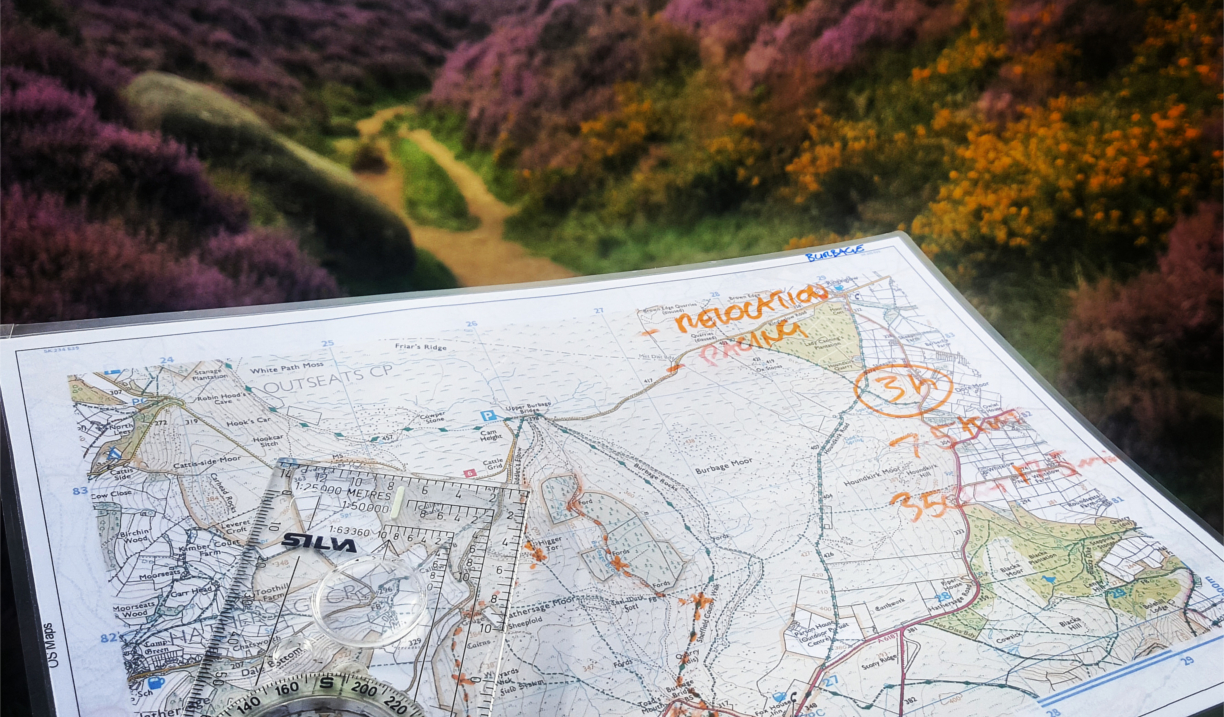 A map being examined.