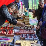 Sheffield Vegan Market (Image © Vegan Market Co.)