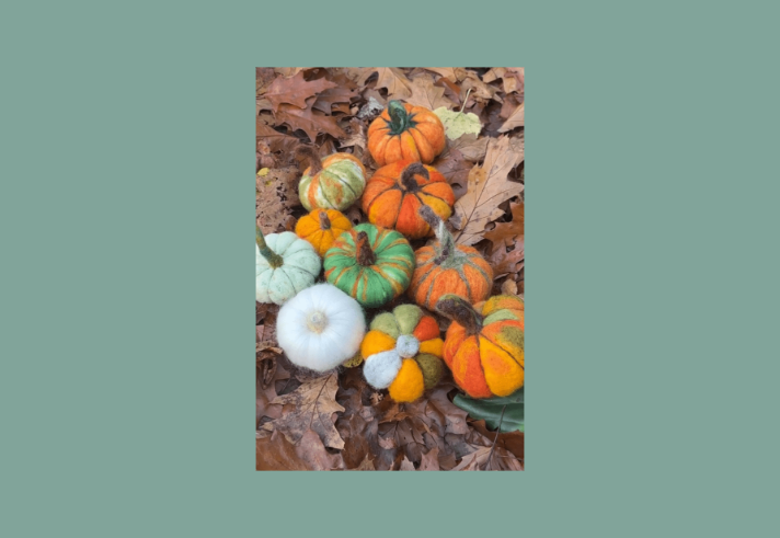 Ten felted pumpkins, all different sizes and colours, laid out on the ground on Autumn leaves.