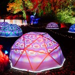 The Glass House and the Sheffield Botanical Gardens are lit up by a huge display of colourful lights.