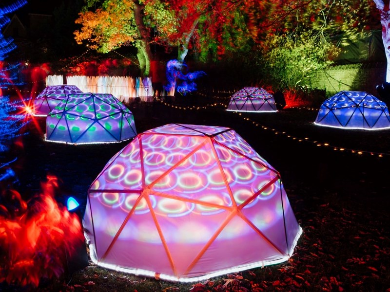 The Glass House and the Sheffield Botanical Gardens are lit up by a huge display of colourful lights.