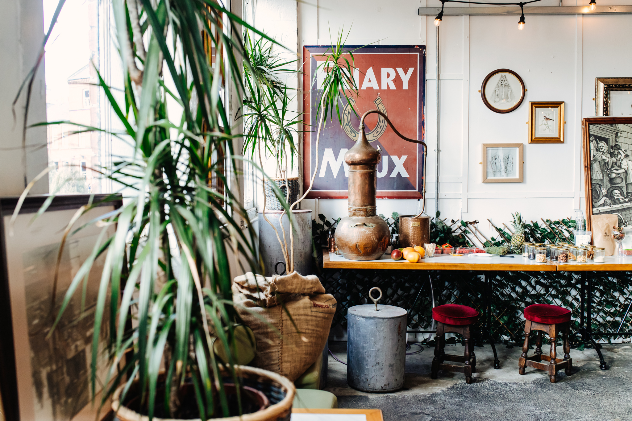 Sheffield School of Gin