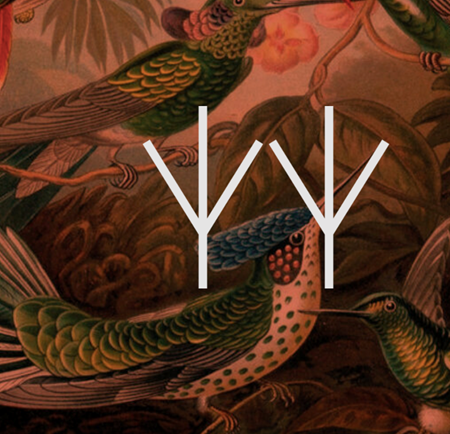 Artwork featuring a richly detailed illustration of tropical birds with vibrant green, red, and blue feathers perched among lush foliage. Overlaid in the center is a minimalist white geometric design consisting of three symmetrical tree-like symbols arranged side by side. The background has warm earthy tones, creating a striking contrast with the bright birds and the bold white graphic.