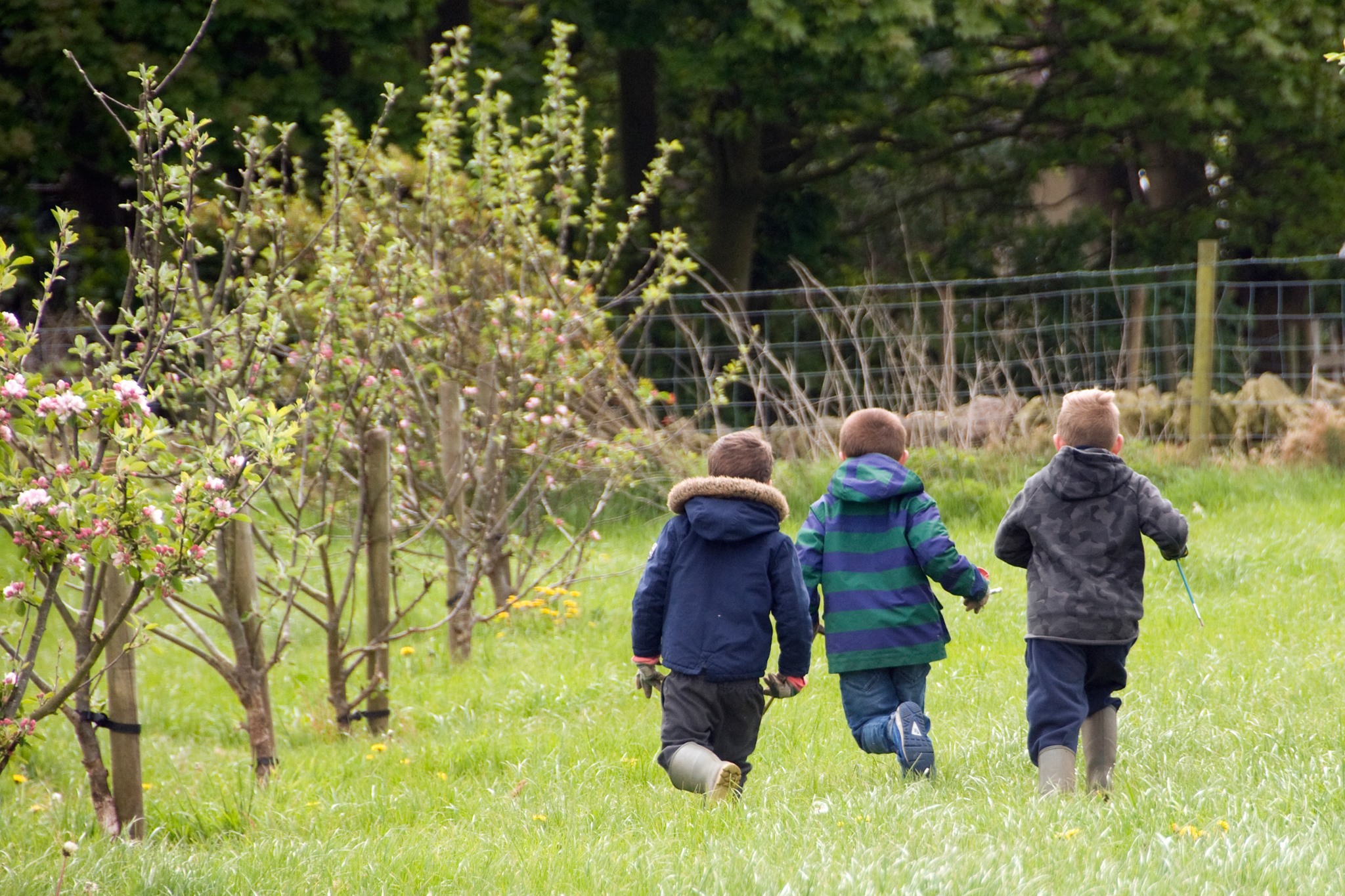 Three children running around in a field.