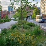 Planting at Grey To Green.