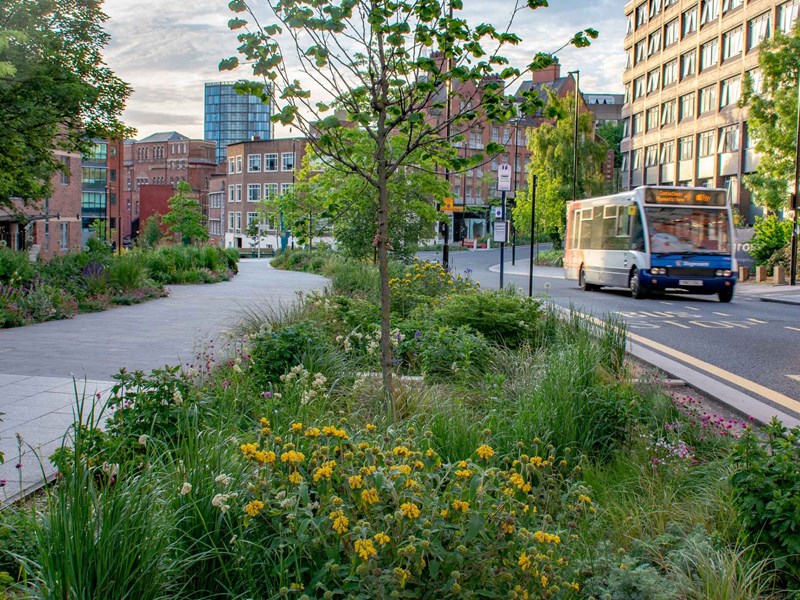 Planting at Grey To Green.