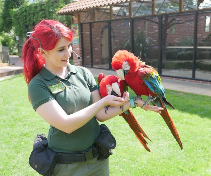 A woman with two parrots on her arm.