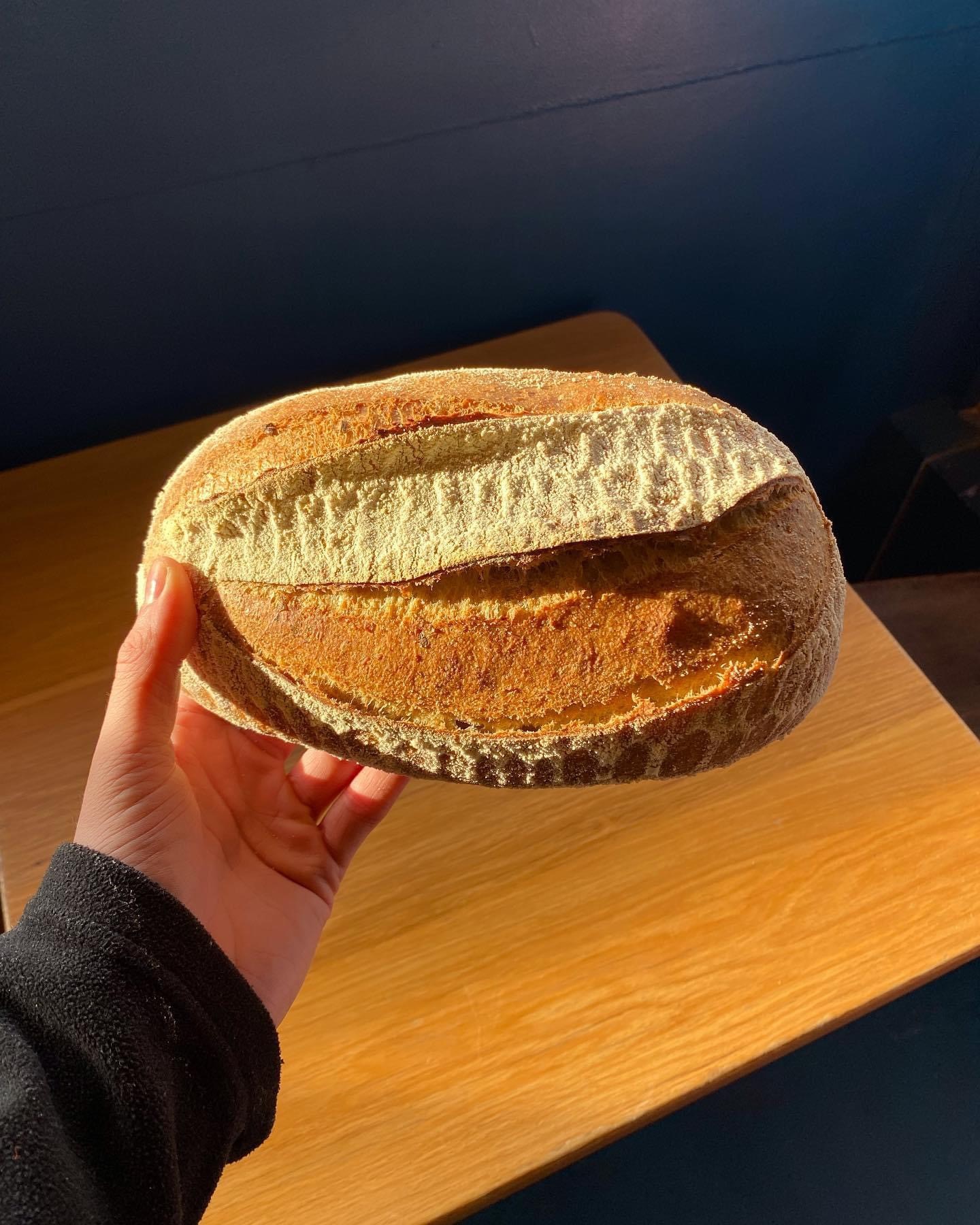 Bread at TONCO Bakery 