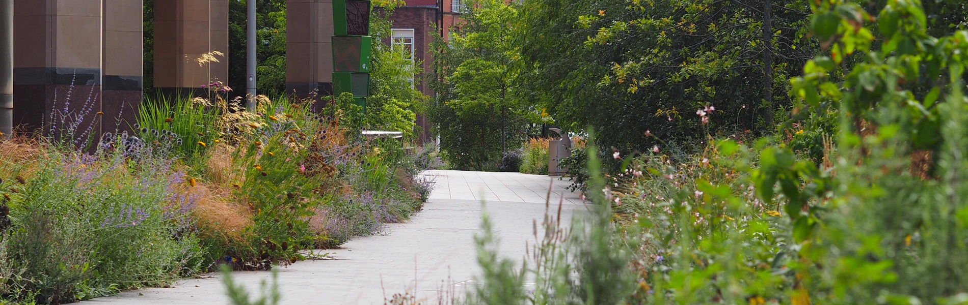 A path stretches away into the distance, either side is planted with a huge range of plants and flowers.