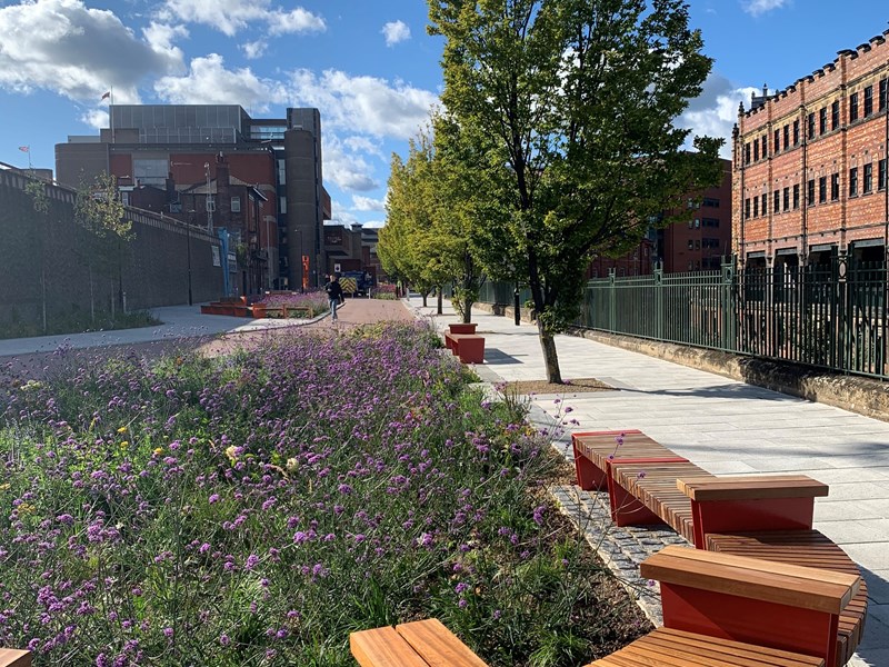 Benches and flower beds full of grasses and wild flowers.