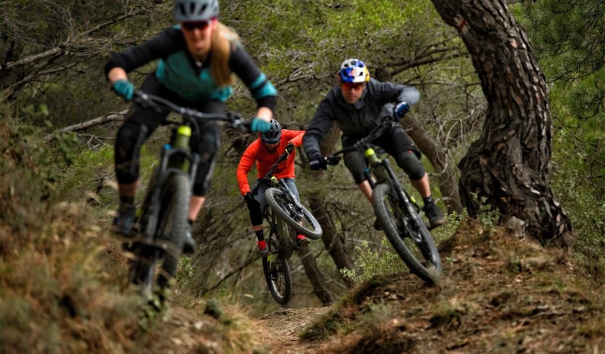 Three people riding mountain bikes at speed through Fox Valley.