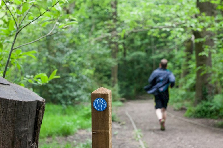 Runner following the Run Route through Ecclesall Woods