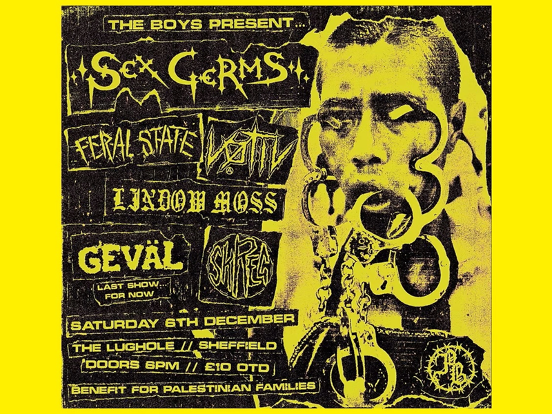 A yellow and black concert poster for a benefit event presented by "The Boys." The headline act is "SEX GERMS," with supporting bands "FERAL STATE," "VOTIV," "LINDOW MOSS," "GEVAL" (noted as their last show for now), and "SHREK." The event takes place on Saturday, 6th December at The Lughole in Sheffield, with doors opening at 8 PM and entry costing £10. The poster includes a background image of a person with facial piercings and chains. Proceeds benefit Palestinian families.