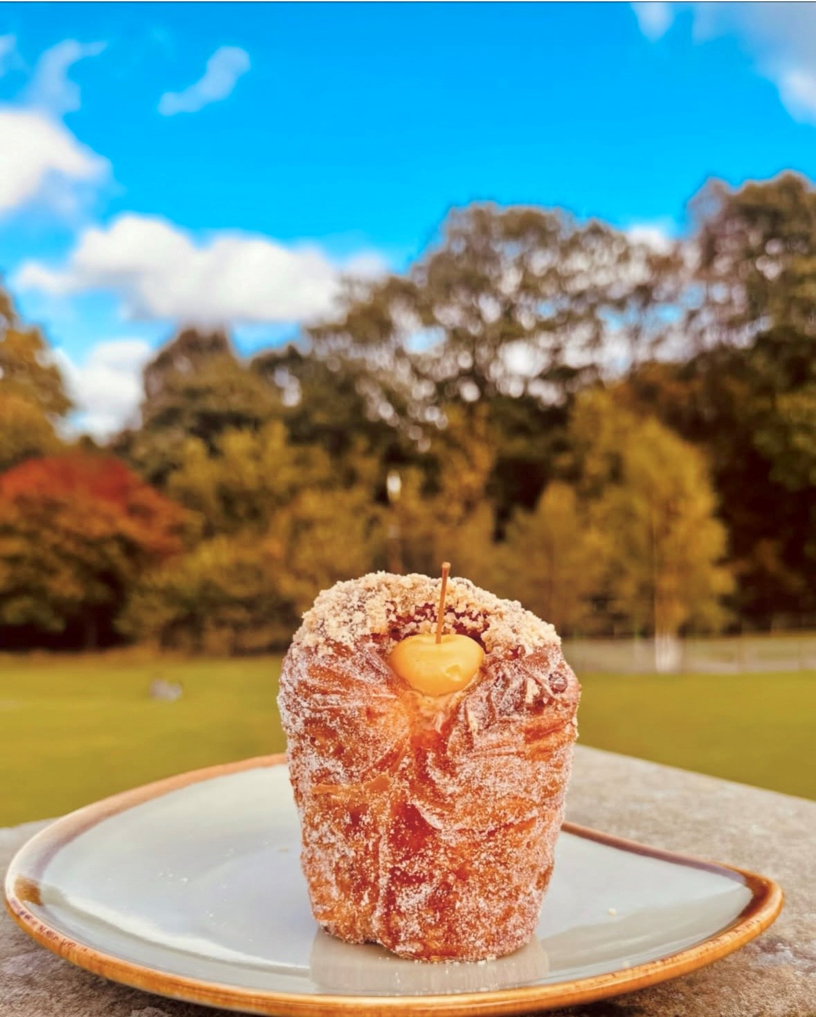 A cruffin on a plate against the backdrop of the park during autumn 