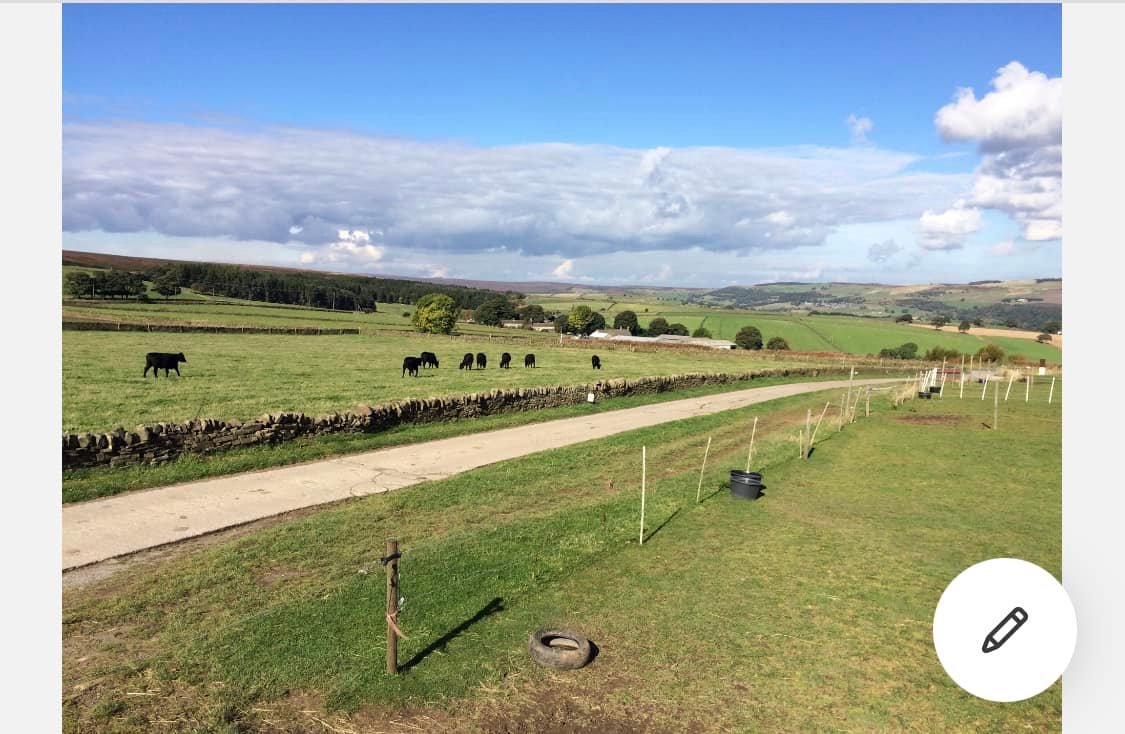 A bridal path through the countryside. 