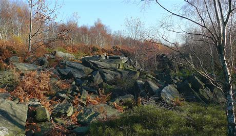 Wadsley and Loxley Common