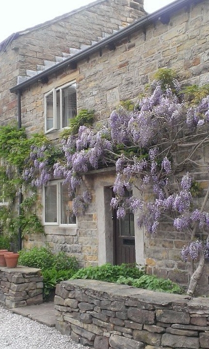 Loadbrook Cottage – exterior view with purple flowers hanging across the front of the building