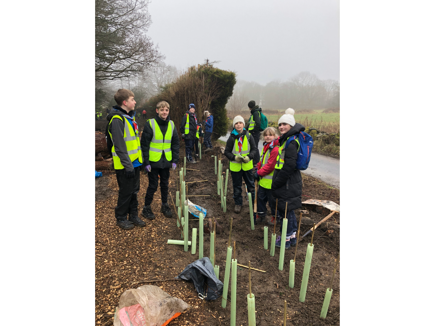A group of volunteers are helping to plant a hedgerow.