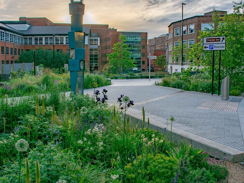 Several areas are planted up with lots of grasses and plants in an urban setting. Paths weave between them with benches for people to sit on.