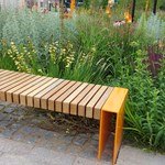 Garden bench surrounded by lush green plants.